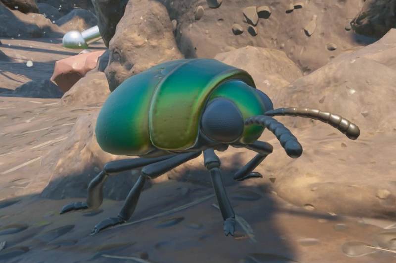 Scarab | Grounded Guide